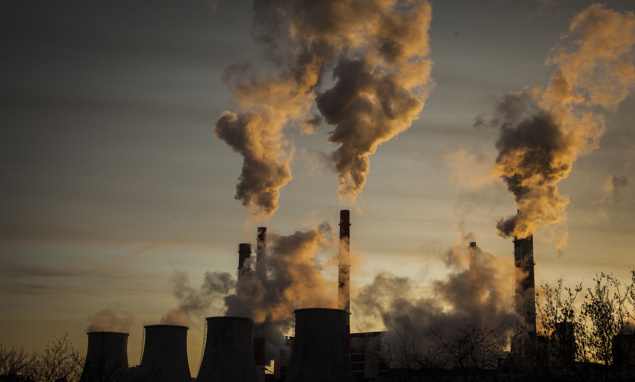 ЭКОдайджест «ЗЕЛЁНЫХ». События экологии прошедшей недели