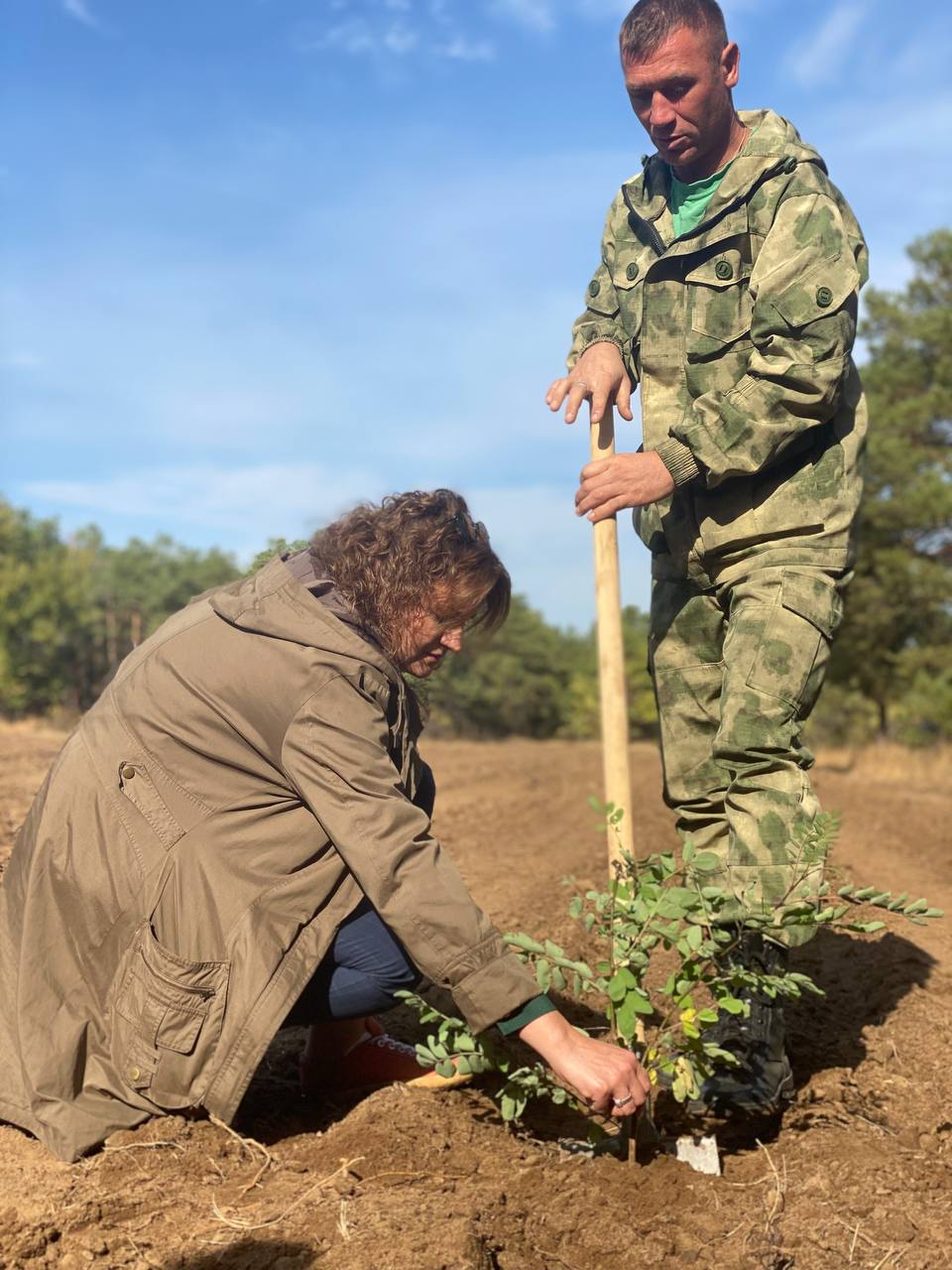 «ЗЕЛЁНЫЕ» Волгограда посадили акации в Волгоградском лесничестве «ЗЕЛЁНЫЕ» Волгограда посадили акации в Волгоградском лесничестве