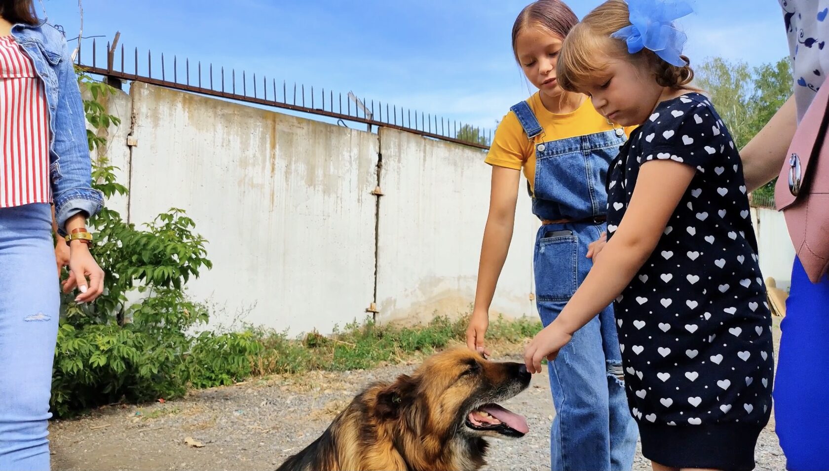 В Башкирии стартовал федеральный проект «Спасая животных, спасаем детей!» В Башкирии стартовал федеральный проект «Спасая животных, спасаем детей!»