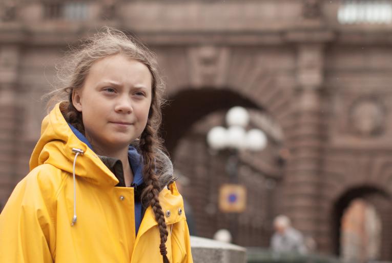 Лидер партии «ЗЕЛЁНЫЕ» Андрей Нагибин о «пятничных прогулах» школьницы Греты Тунберг