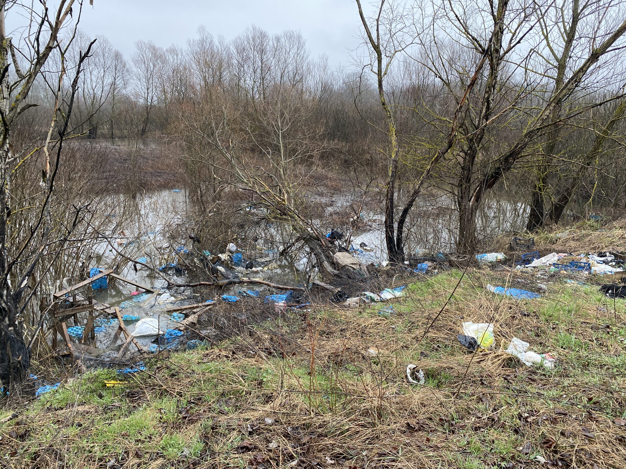 «ЗЕЛЁНЫЕ»: необходимо убрать несанкционированную свалку, мусор с которой уже начал попадать в реку Четук «ЗЕЛЁНЫЕ»: необходимо убрать несанкционированную свалку, мусор с которой уже начал попадать в реку Четук