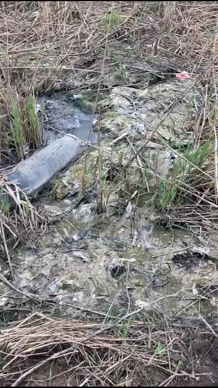 Экоинспекторы Кубани обнаружили загрязнённое канализационными стоками озеро Экоинспекторы Кубани обнаружили загрязнённое канализационными стоками озеро