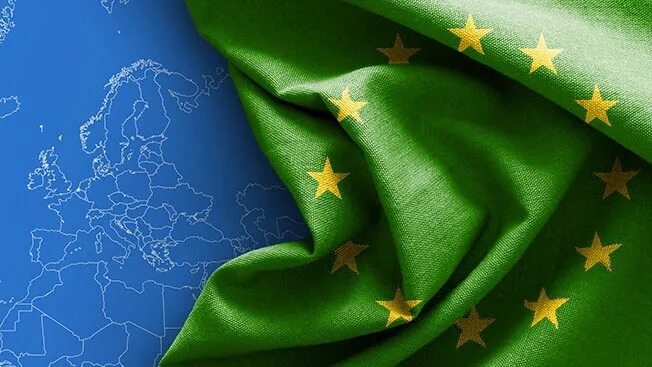 ТАСС: В партии "Зеленые" назвали "Зеленый переход" геополитической программой