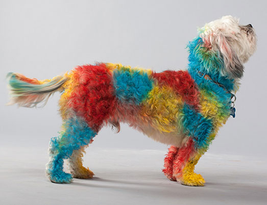 «ЗЕЛЁНЫЕ» против розовых хвостов «ЗЕЛЁНЫЕ» против розовых хвостов