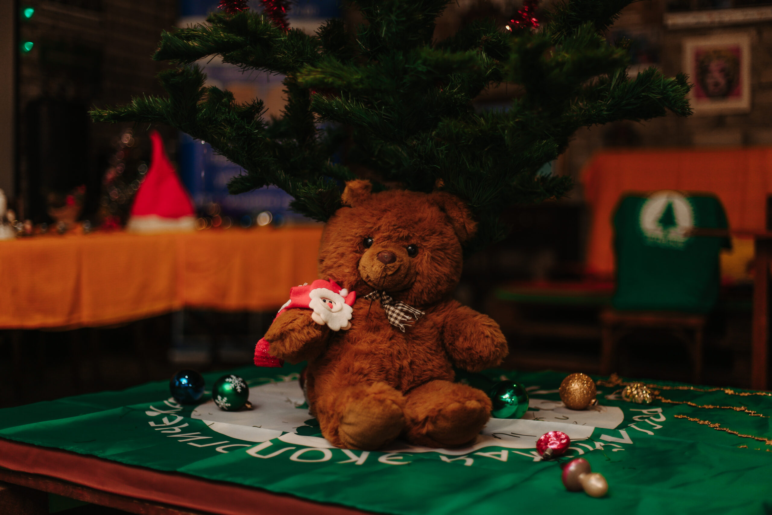 Советские гирлянды, ёлки, ёлочные игрушки и море улыбок – в Ярославле прошла предновогодняя «Зелёная суббота» Советские гирлянды, ёлки, ёлочные игрушки и море улыбок – в Ярославле прошла предновогодняя «Зелёная суббота»