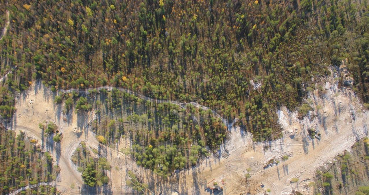 ЭКОдайджест «ЗЕЛЁНЫХ». События экологии прошедшей недели