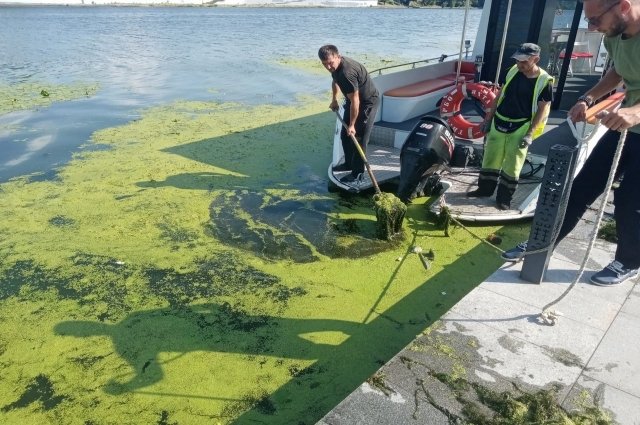 АиФ ПЕНЗА: «Не цветёт, а процветает»? Прошли слушания по очистным на «Маяке» АиФ ПЕНЗА: «Не цветёт, а процветает»? Прошли слушания по очистным на «Маяке»