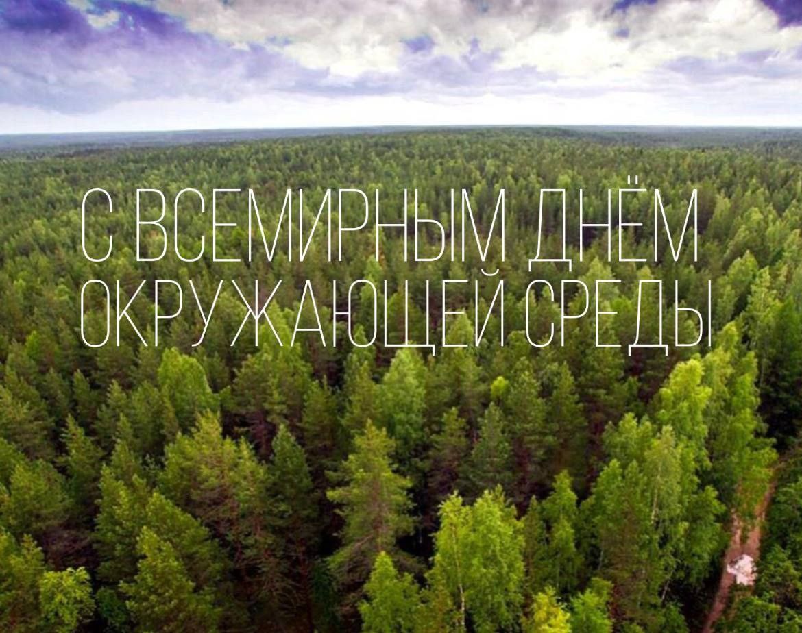 ВЗГЛЯД: Экологи высоко оценили усилия России по спасению окружающей среды