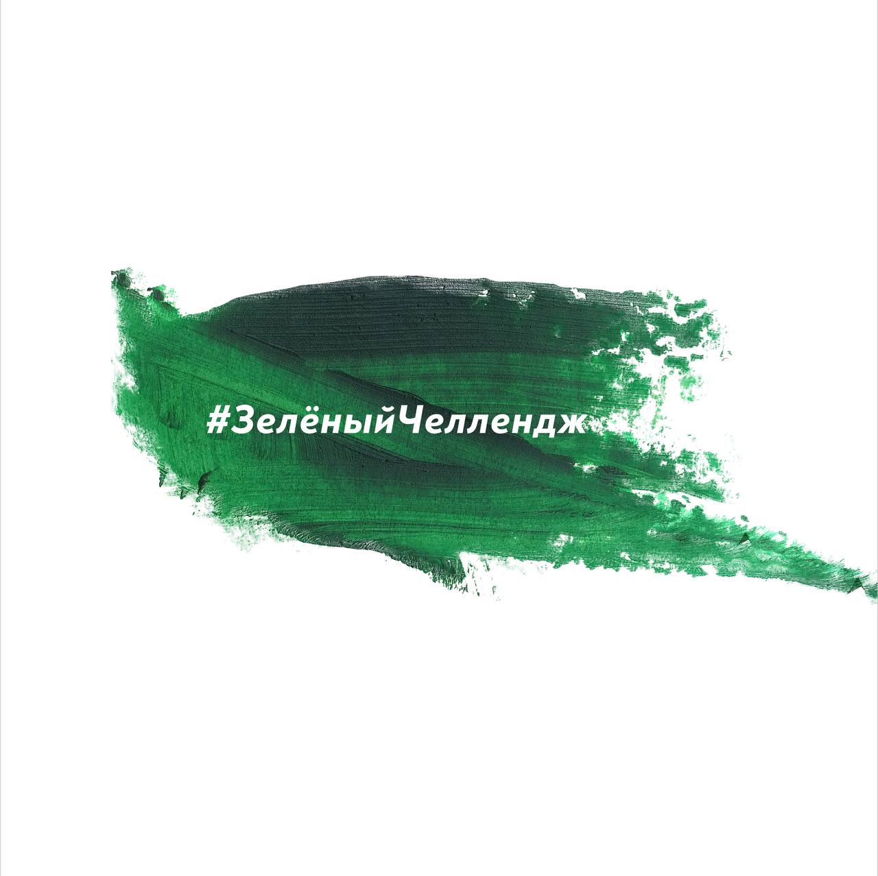 Партия «ЗЕЛЁНЫЕ» запустила #ЗелёныйЧеллендж