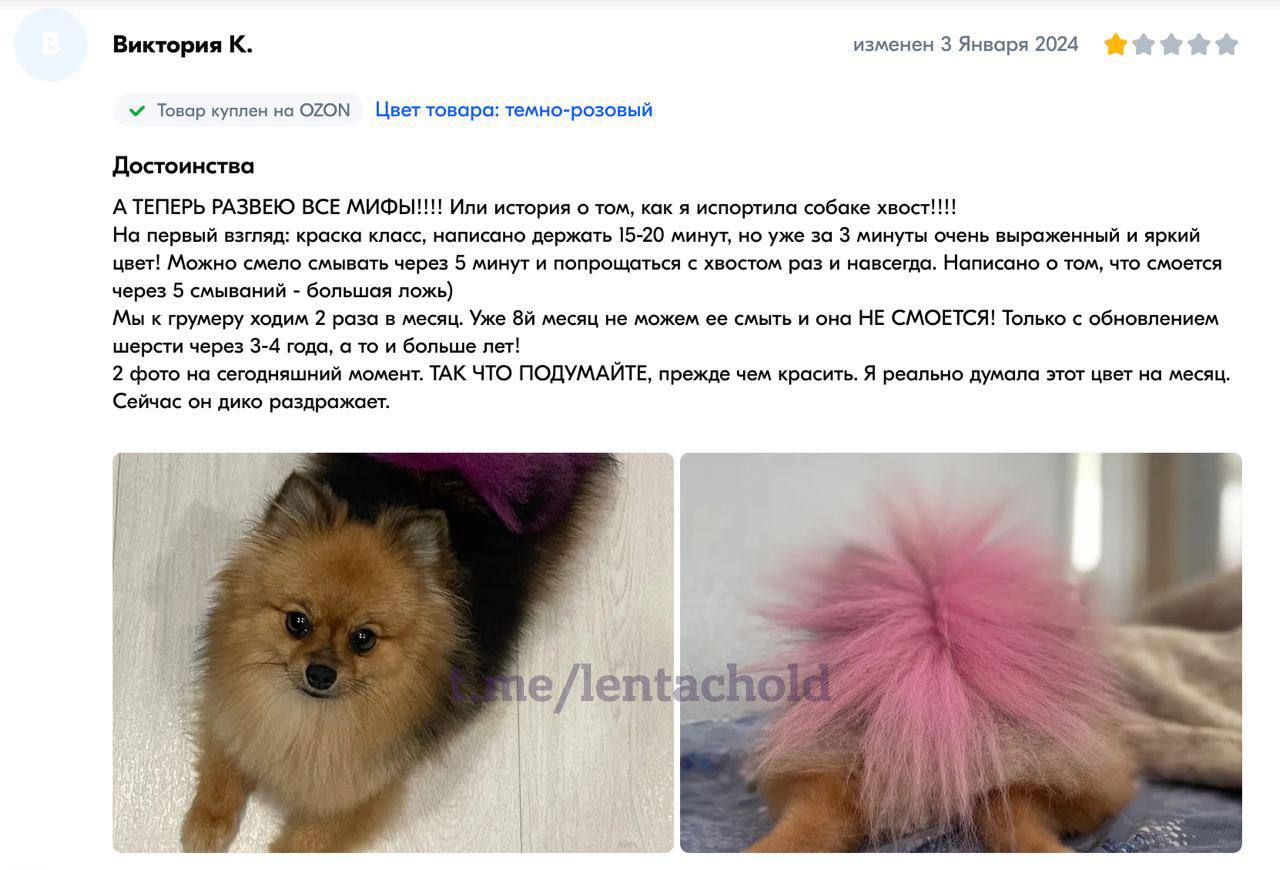 «ЗЕЛЁНЫЕ» против розовых хвостов «ЗЕЛЁНЫЕ» против розовых хвостов