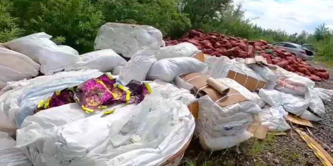 Красноярские «ЗЕЛЁНЫЕ» за день ликвидировали свалку в Ермолаеве