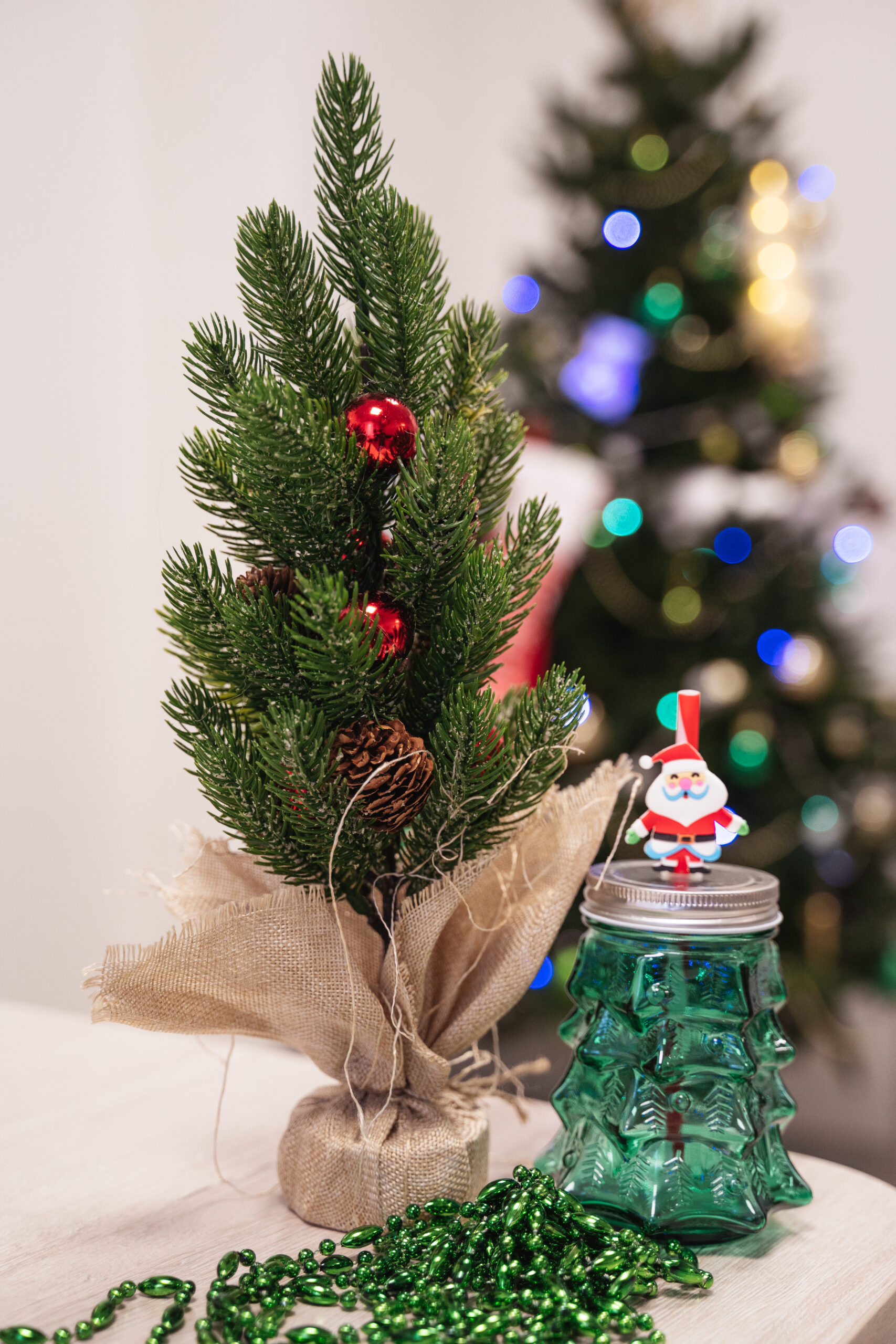 Ёлочные игрушки снежный шар и новогодние шапки – в Новосибирске прошла предновогодняя «Зелёная суббота» Ёлочные игрушки снежный шар и новогодние шапки – в Новосибирске прошла предновогодняя «Зелёная суббота»