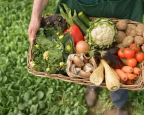 РИА Новости: "Зелёные" предложили ввести в магазинах квоту на биопродукты