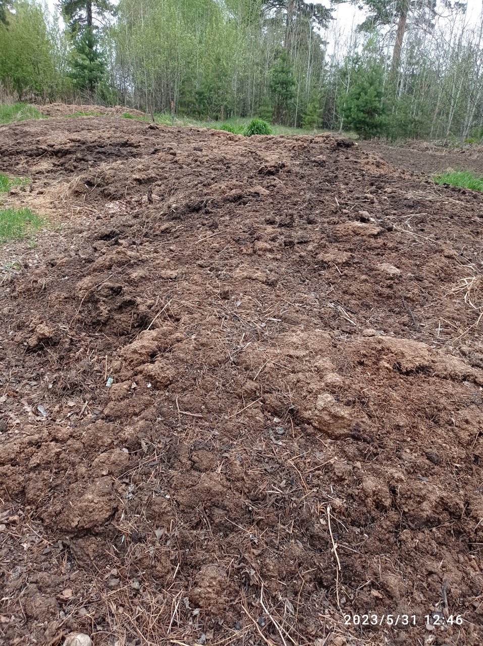 Иркутские «ЗЕЛЁНЫЕ» спасают СНТ под Ангарском от загрязнения почвы Иркутские «ЗЕЛЁНЫЕ» спасают СНТ под Ангарском от загрязнения почвы