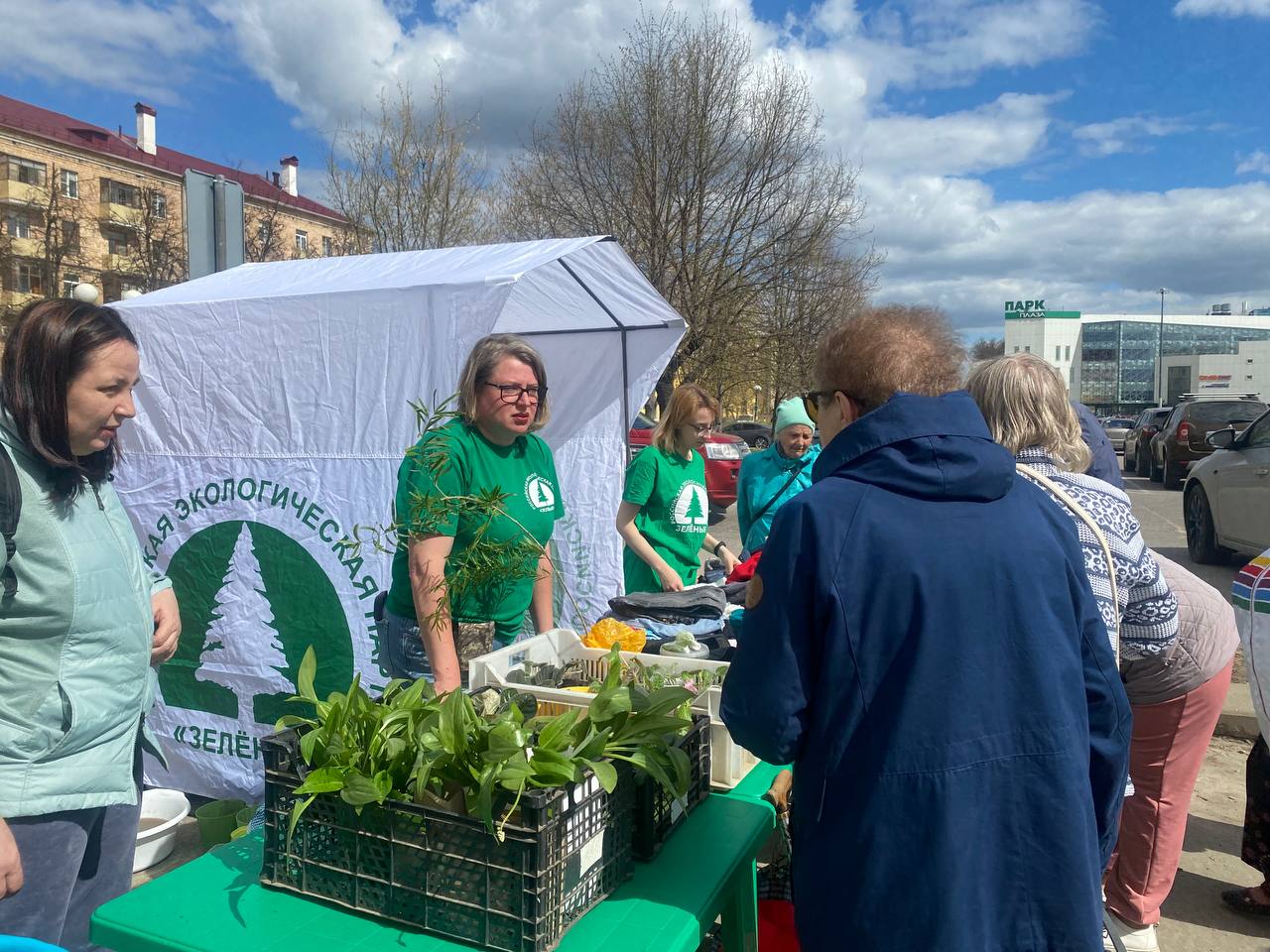 Более 500 комнатных и садовых растений нашли новых владельцев на «дачной» «Зелёной субботе» в Электростали Более 500 комнатных и садовых растений нашли новых владельцев на «дачной» «Зелёной субботе» в Электростали