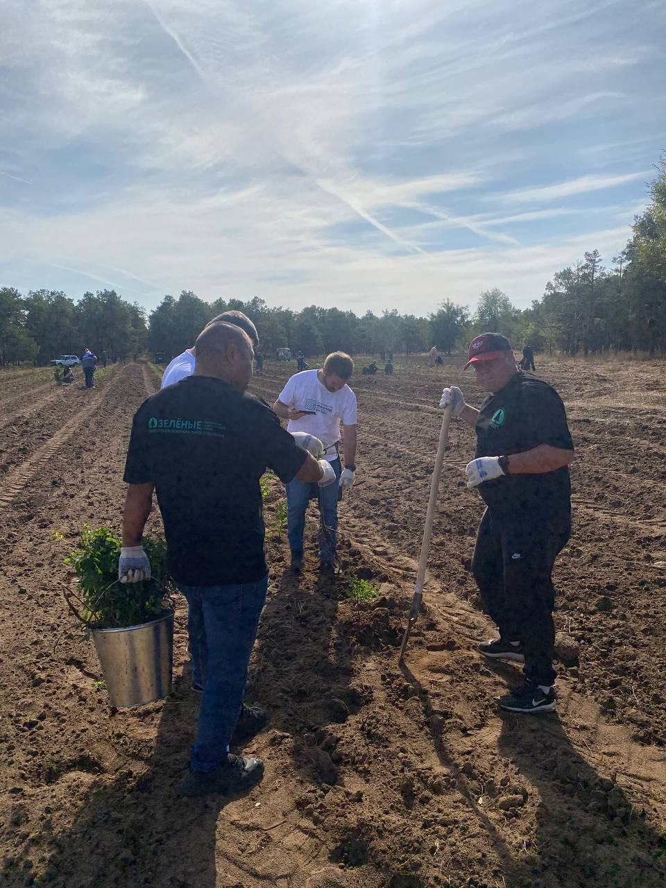 «ЗЕЛЁНЫЕ» Волгограда посадили акации в Волгоградском лесничестве «ЗЕЛЁНЫЕ» Волгограда посадили акации в Волгоградском лесничестве