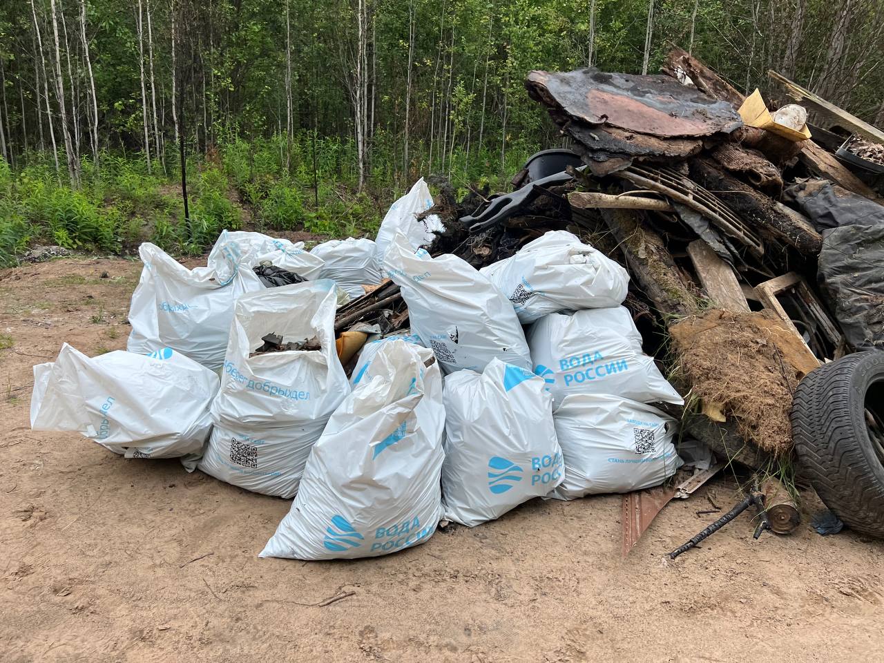 Архангельские «ЗЕЛЁНЫЕ» приняли участие в уборке мусора под Новодвинском Архангельские «ЗЕЛЁНЫЕ» приняли участие в уборке мусора под Новодвинском