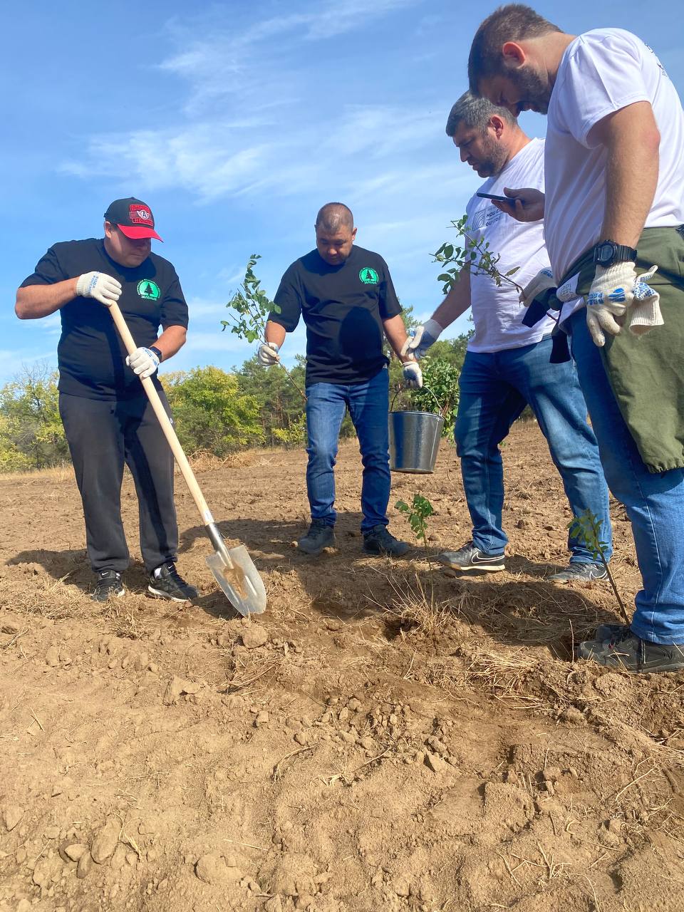 «ЗЕЛЁНЫЕ» Волгограда посадили акации в Волгоградском лесничестве «ЗЕЛЁНЫЕ» Волгограда посадили акации в Волгоградском лесничестве