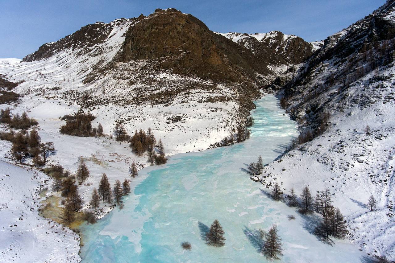 События экологии прошедшей недели в еженедельном дайджесте «ЗЕЛЁНЫХ»