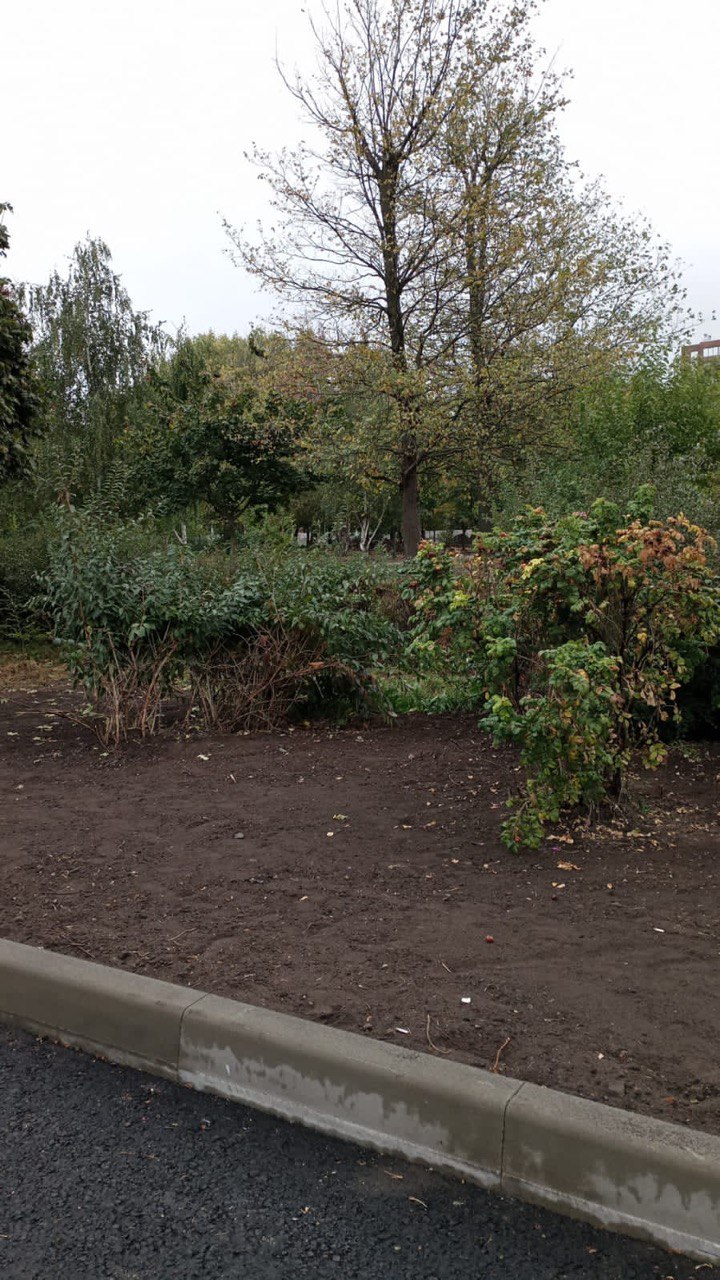 Белгородские «ЗЕЛЁНЫЕ» контролируют реконструкцию Центрального парка Белгородские «ЗЕЛЁНЫЕ» контролируют реконструкцию Центрального парка