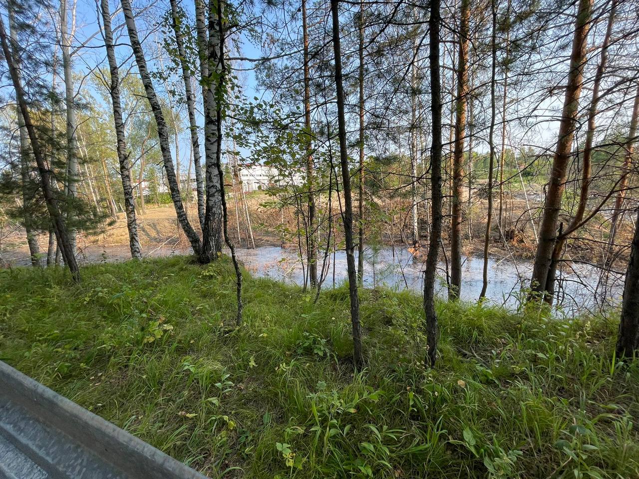 Новосибирские «ЗЕЛЁНЫЕ» требуют привлечь к ответственности виновных в организации «озера отходов» внутри леса Новосибирские «ЗЕЛЁНЫЕ» требуют привлечь к ответственности виновных в организации «озера отходов» внутри леса