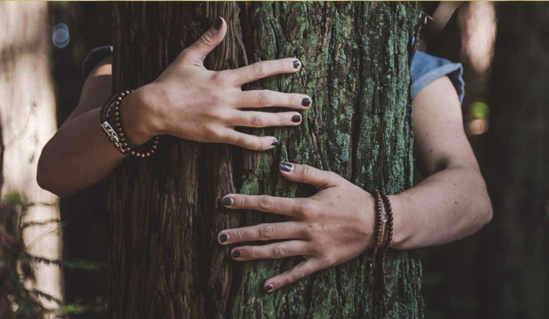 Партия «ЗЕЛЁНЫЕ» призывает к объединению экологического сообщества