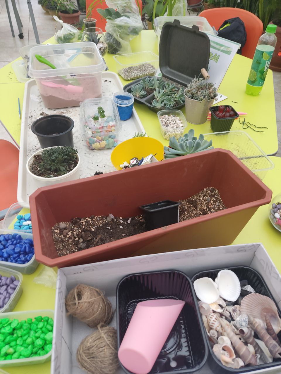 «Зелёная суббота» по обмену комнатными растениями прошла в детском эколого-биологическом центре Уфы «Зелёная суббота» по обмену комнатными растениями прошла в детском эколого-биологическом центре Уфы