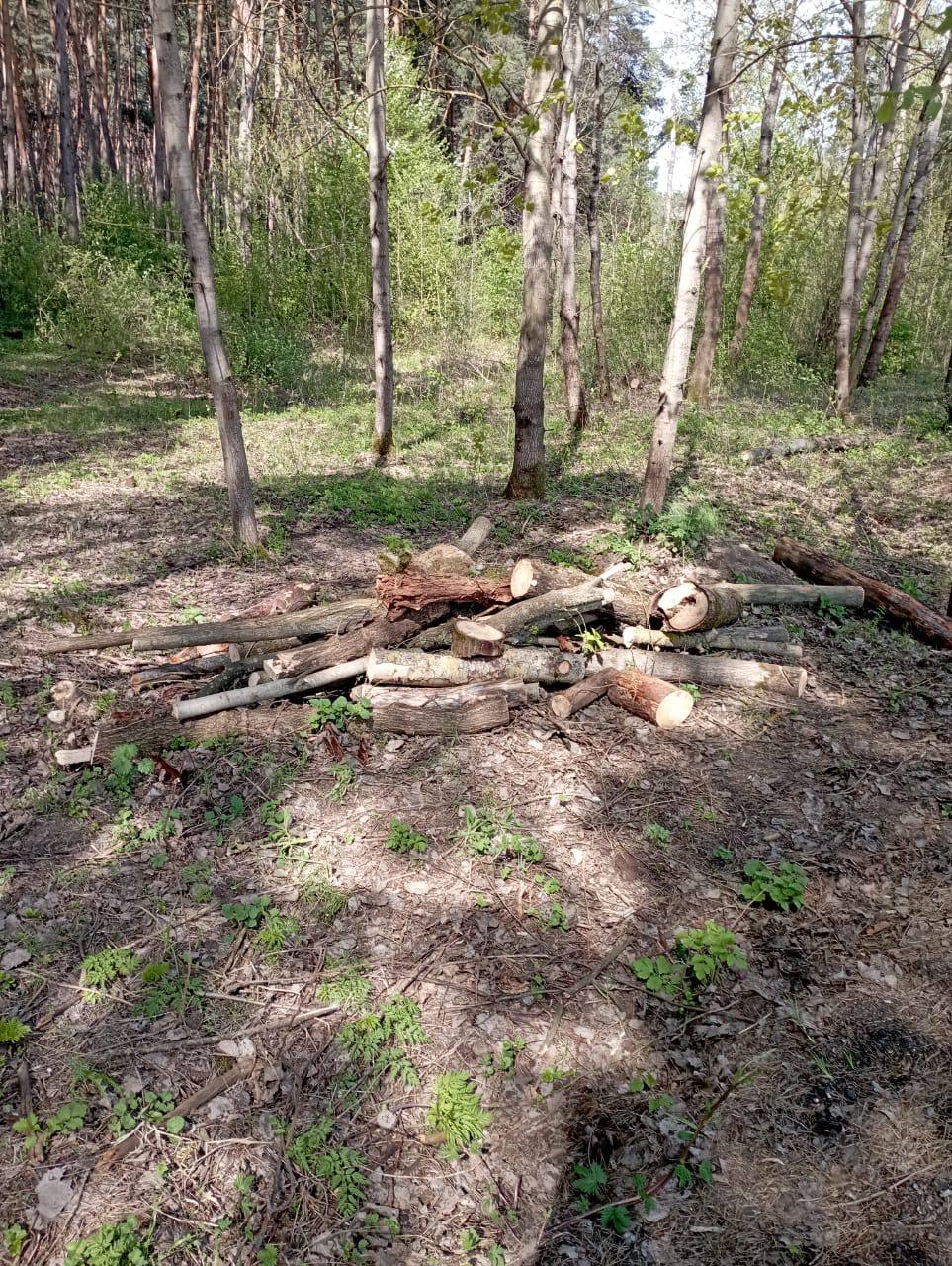 Белгородские «ЗЕЛЁНЫЕ» приняли участие в рейде по оценке общего экологического состояния города Белгородские «ЗЕЛЁНЫЕ» приняли участие в рейде по оценке общего экологического состояния города