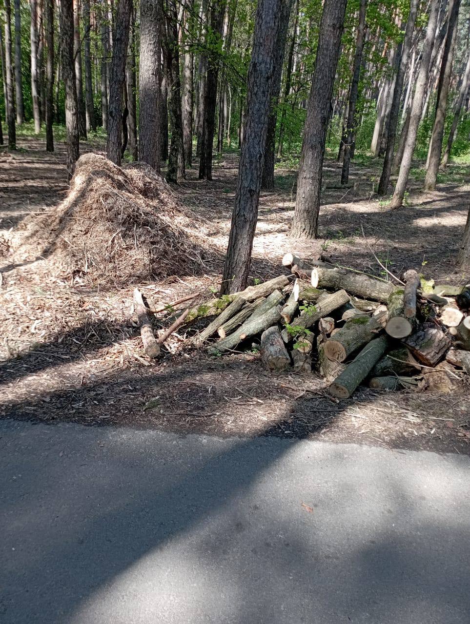 Белгородские «ЗЕЛЁНЫЕ» приняли участие в рейде по оценке общего экологического состояния города Белгородские «ЗЕЛЁНЫЕ» приняли участие в рейде по оценке общего экологического состояния города