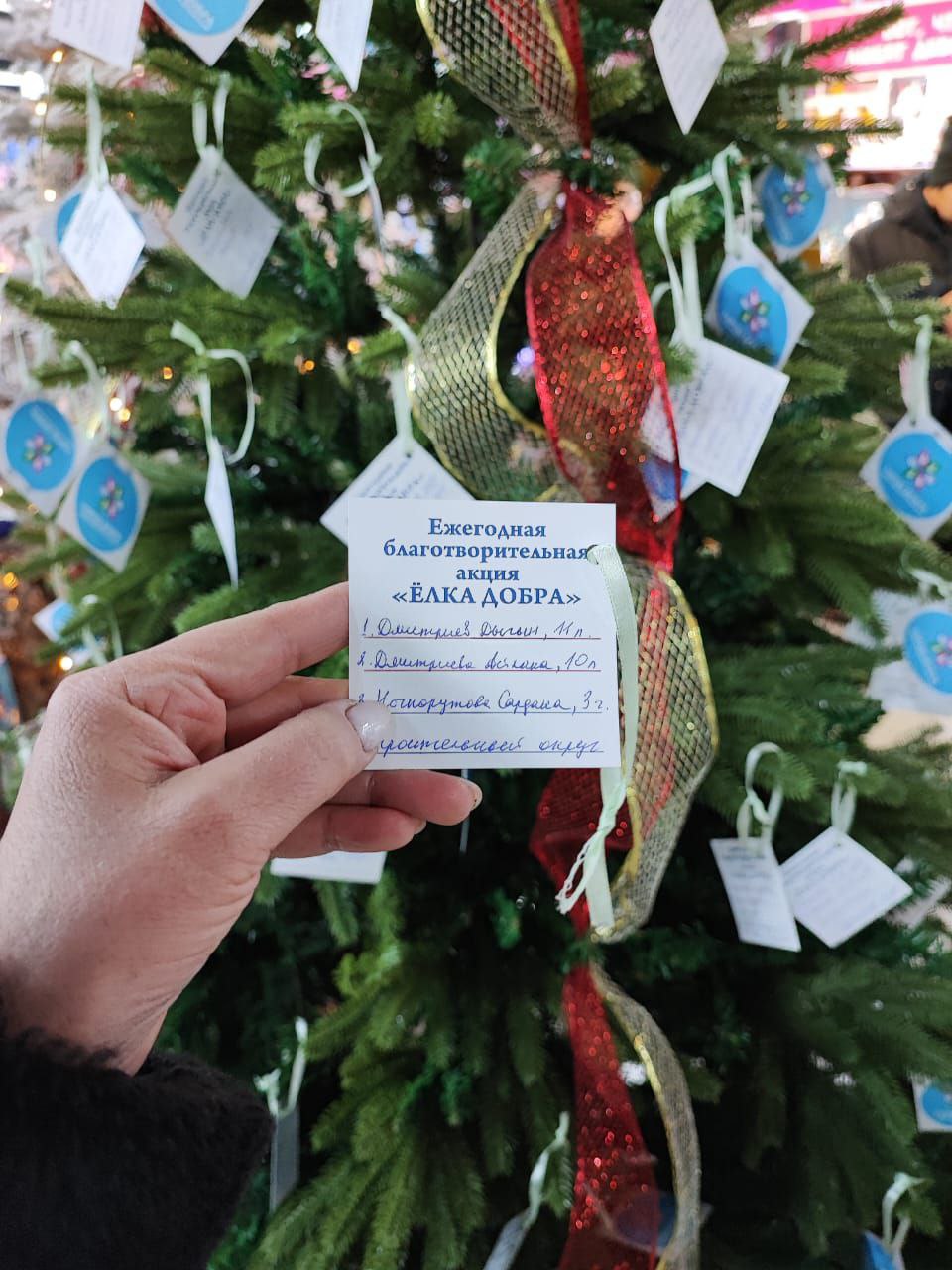 Лидер якутских «ЗЕЛЁНЫХ» принял участие в акции «Ёлка добра» Лидер якутских «ЗЕЛЁНЫХ» принял участие в акции «Ёлка добра»