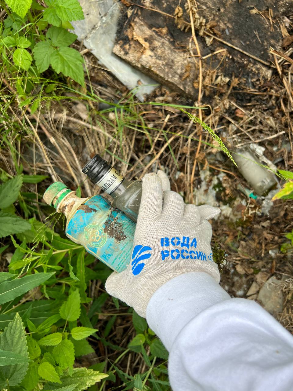 Архангельские «ЗЕЛЁНЫЕ» приняли участие в уборке мусора под Новодвинском Архангельские «ЗЕЛЁНЫЕ» приняли участие в уборке мусора под Новодвинском