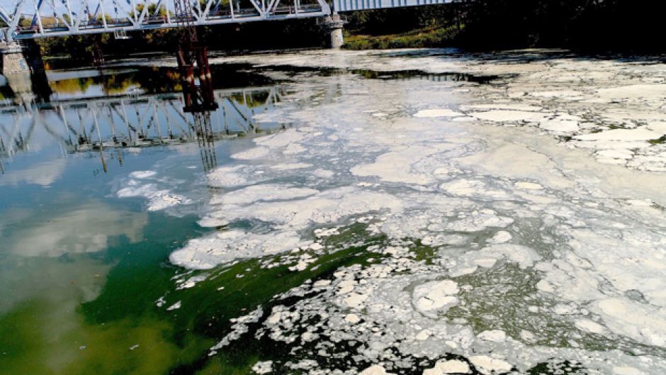 «ЗЕЛЁНЫЕ» добились привлечения к ответственности фабрики «Маяк» в Пензенской области