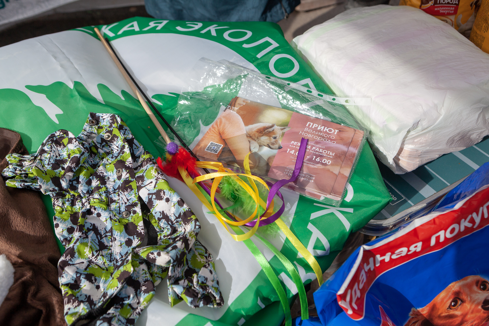 На «Зелёную субботу» жители Великого Новгорода принесли 35 кг корма для собак На «Зелёную субботу» жители Великого Новгорода принесли 35 кг корма для собак