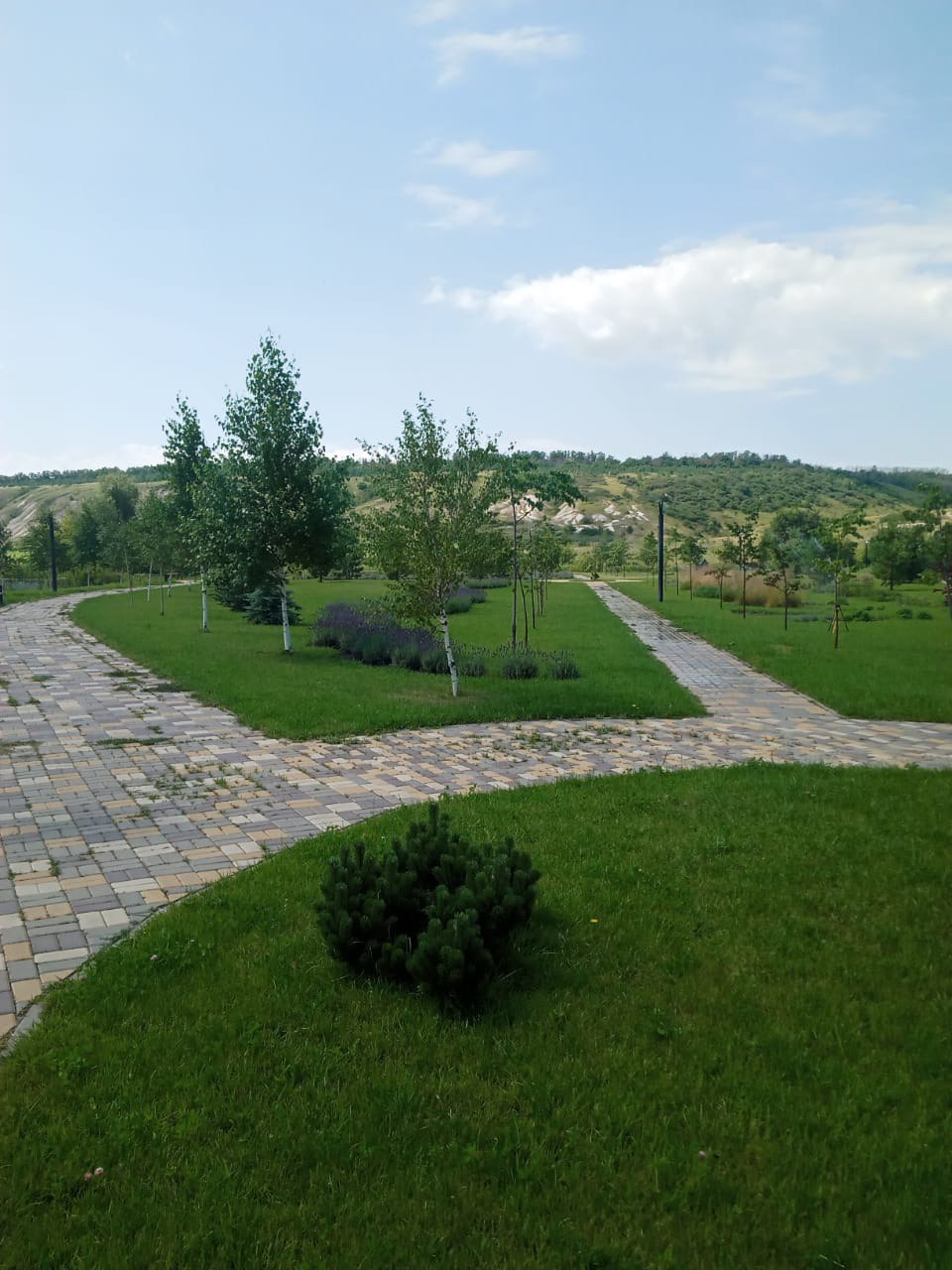 Белгородские «ЗЕЛЁНЫЕ» проверили лесные культуры Ровеньского района Белгородские «ЗЕЛЁНЫЕ» проверили лесные культуры Ровеньского района