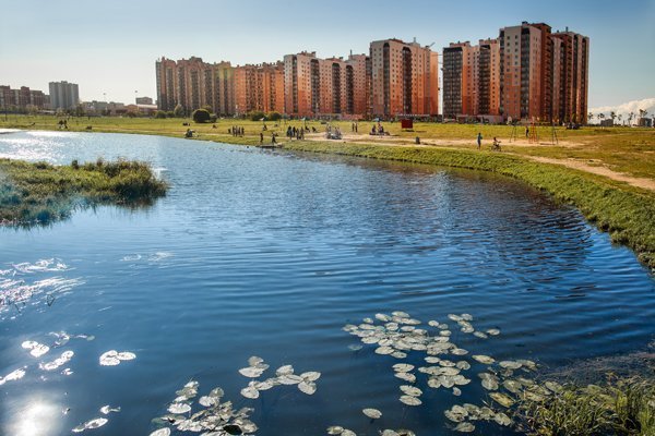 Росприроднадзор поддержал «ЗЕЛЁНЫХ» в борьбе с загрязнением р. Оккервиль