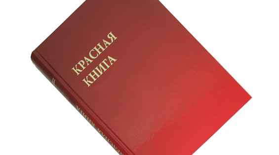 8 мая – Всемирный день Красной книги