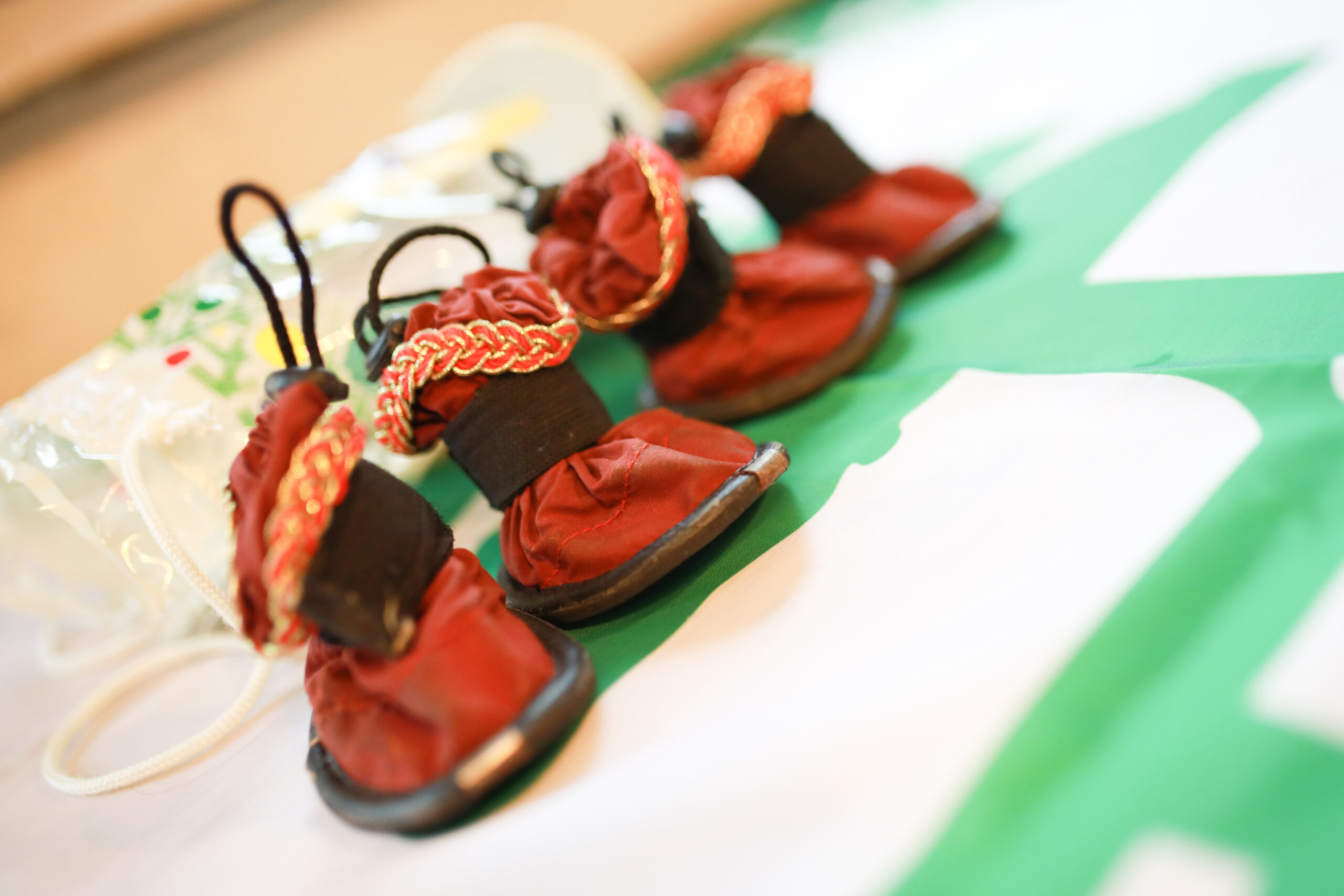 На «Зелёной субботе» приютам для бездомных животных жертвовали и семьи, и даже целые коллективы На «Зелёной субботе» приютам для бездомных животных жертвовали и семьи, и даже целые коллективы