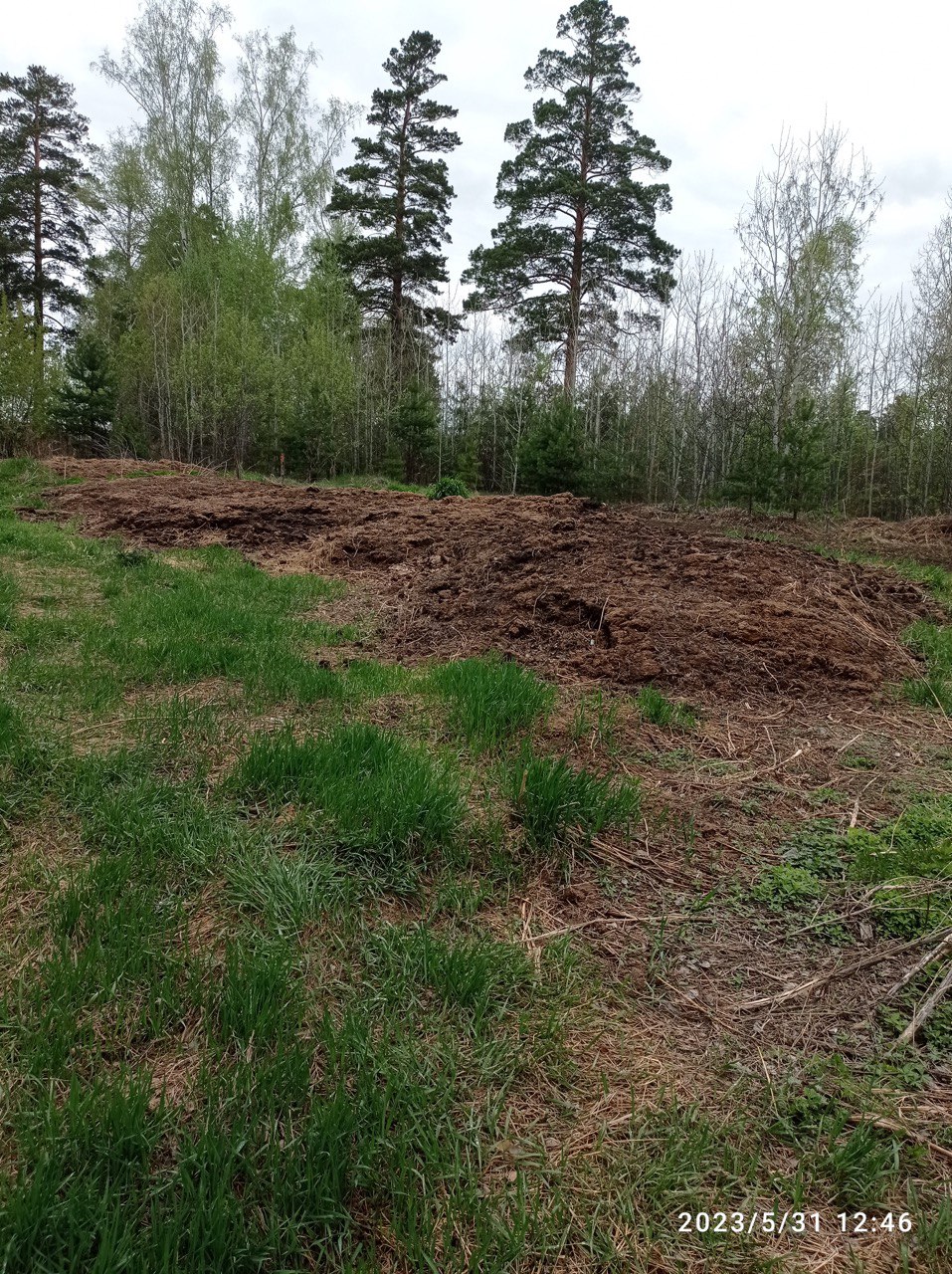 Иркутские «ЗЕЛЁНЫЕ» спасают СНТ под Ангарском от загрязнения почвы Иркутские «ЗЕЛЁНЫЕ» спасают СНТ под Ангарском от загрязнения почвы