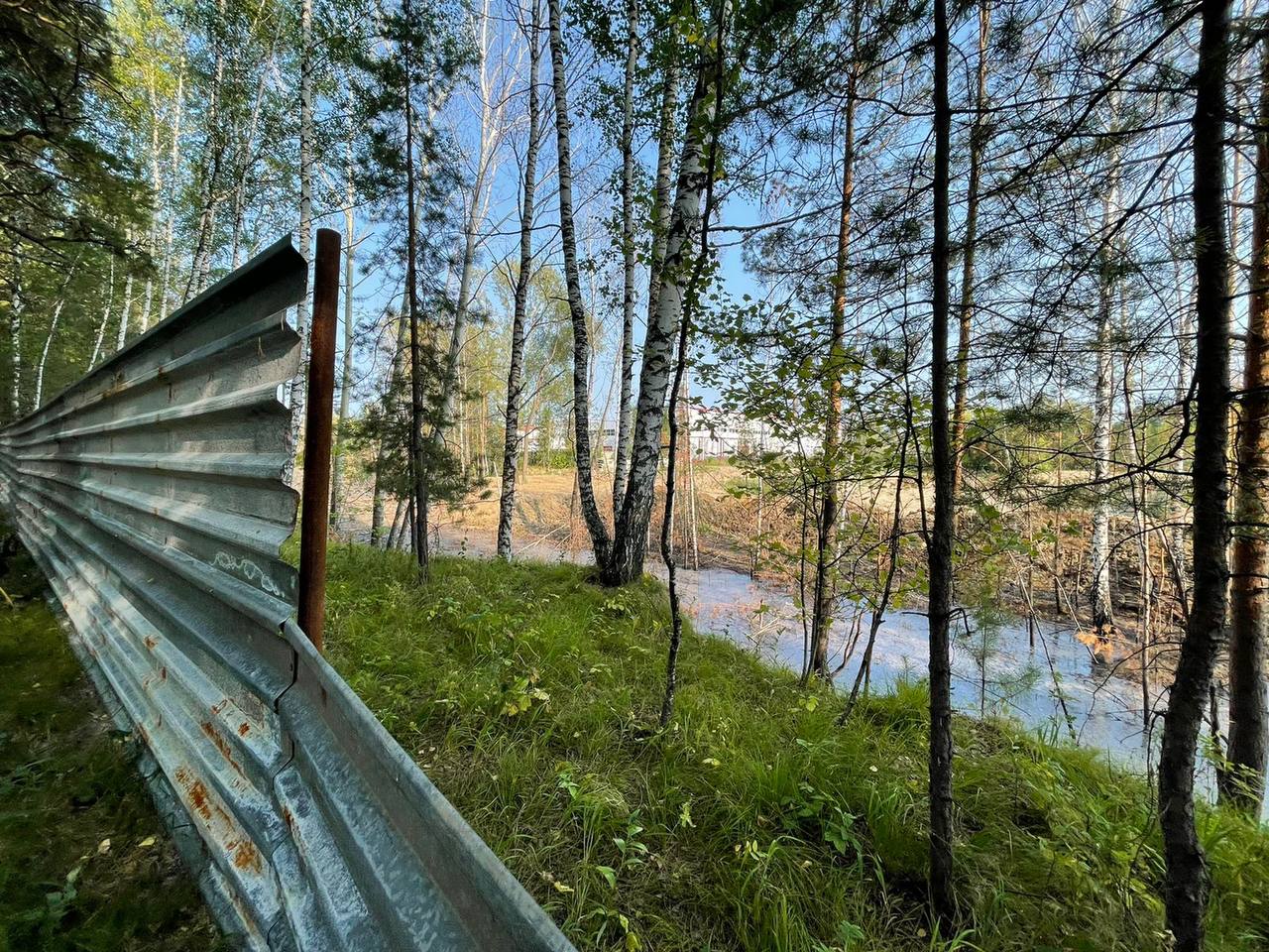 Новосибирские «ЗЕЛЁНЫЕ» требуют привлечь к ответственности виновных в организации «озера отходов» внутри леса Новосибирские «ЗЕЛЁНЫЕ» требуют привлечь к ответственности виновных в организации «озера отходов» внутри леса