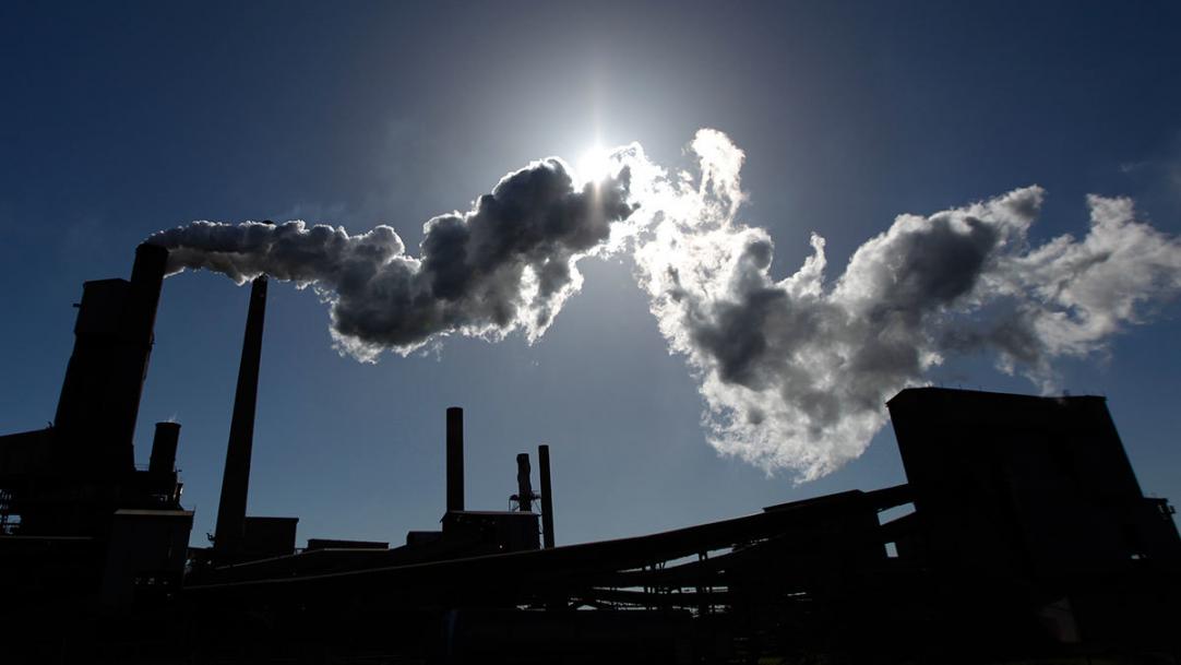 Эффективность углеродных налогов вызвала дискуссию в рядах российских «ЗЕЛЁНЫХ»