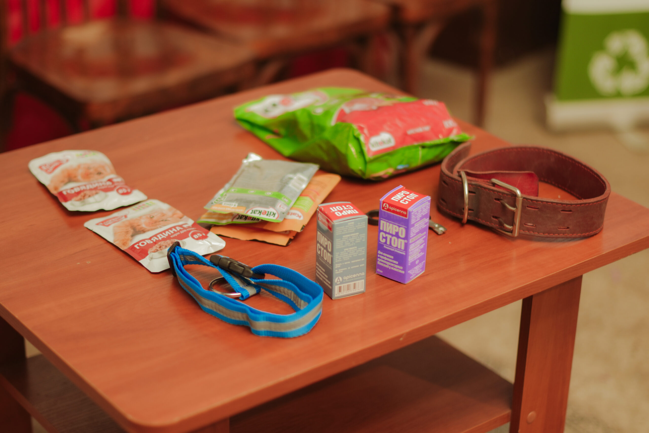 На «Зелёную субботу» жители Ярославля приносили корм и текстиль для подстилок собакам и кошкам На «Зелёную субботу» жители Ярославля приносили корм и текстиль для подстилок собакам и кошкам