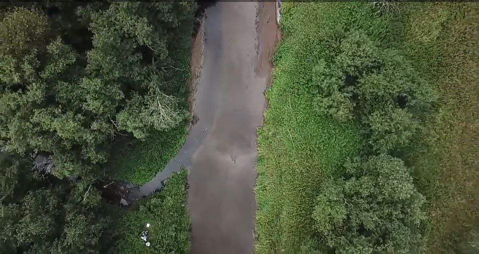 После заявления новгородских «ЗЕЛЁНЫХ» СК начал проверку по факту загрязнения воды и мора рыбы в р. Холова