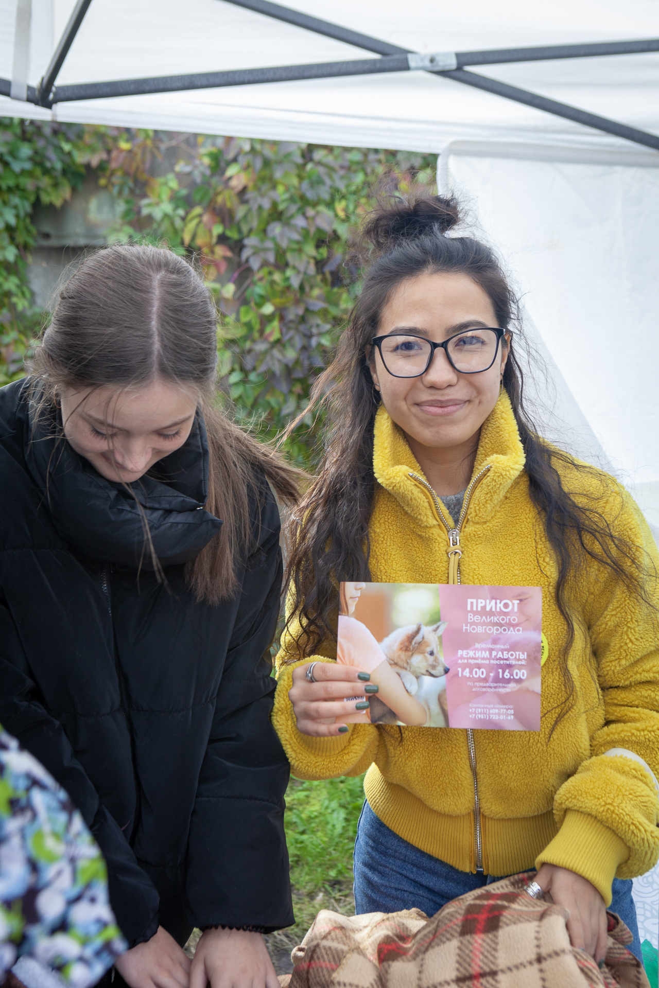 На «Зелёную субботу» жители Великого Новгорода принесли 35 кг корма для собак На «Зелёную субботу» жители Великого Новгорода принесли 35 кг корма для собак