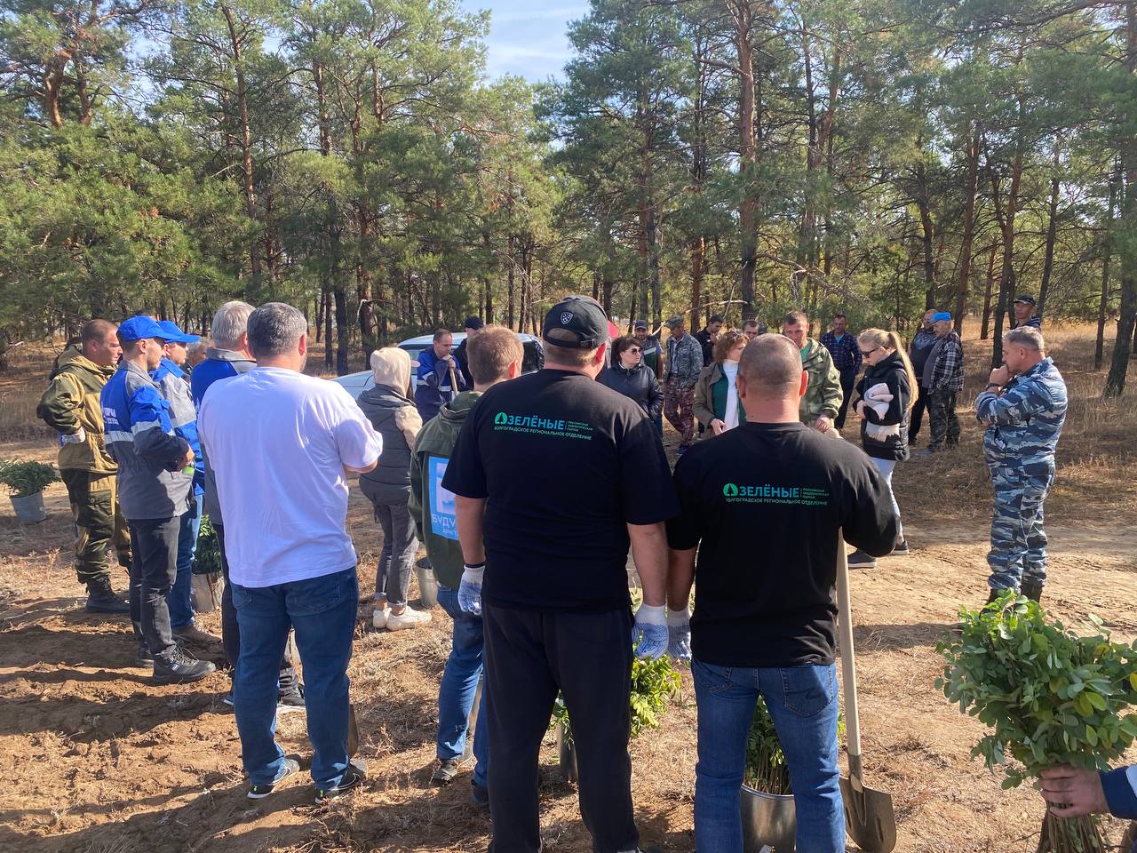 «ЗЕЛЁНЫЕ» Волгограда посадили акации в Волгоградском лесничестве «ЗЕЛЁНЫЕ» Волгограда посадили акации в Волгоградском лесничестве