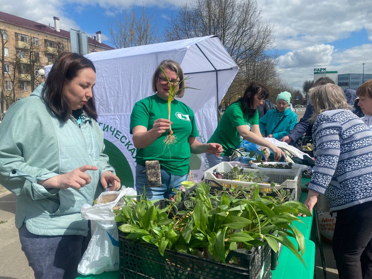 Более 500 комнатных и садовых растений нашли новых владельцев на «дачной» «Зелёной субботе» в Электростали Более 500 комнатных и садовых растений нашли новых владельцев на «дачной» «Зелёной субботе» в Электростали