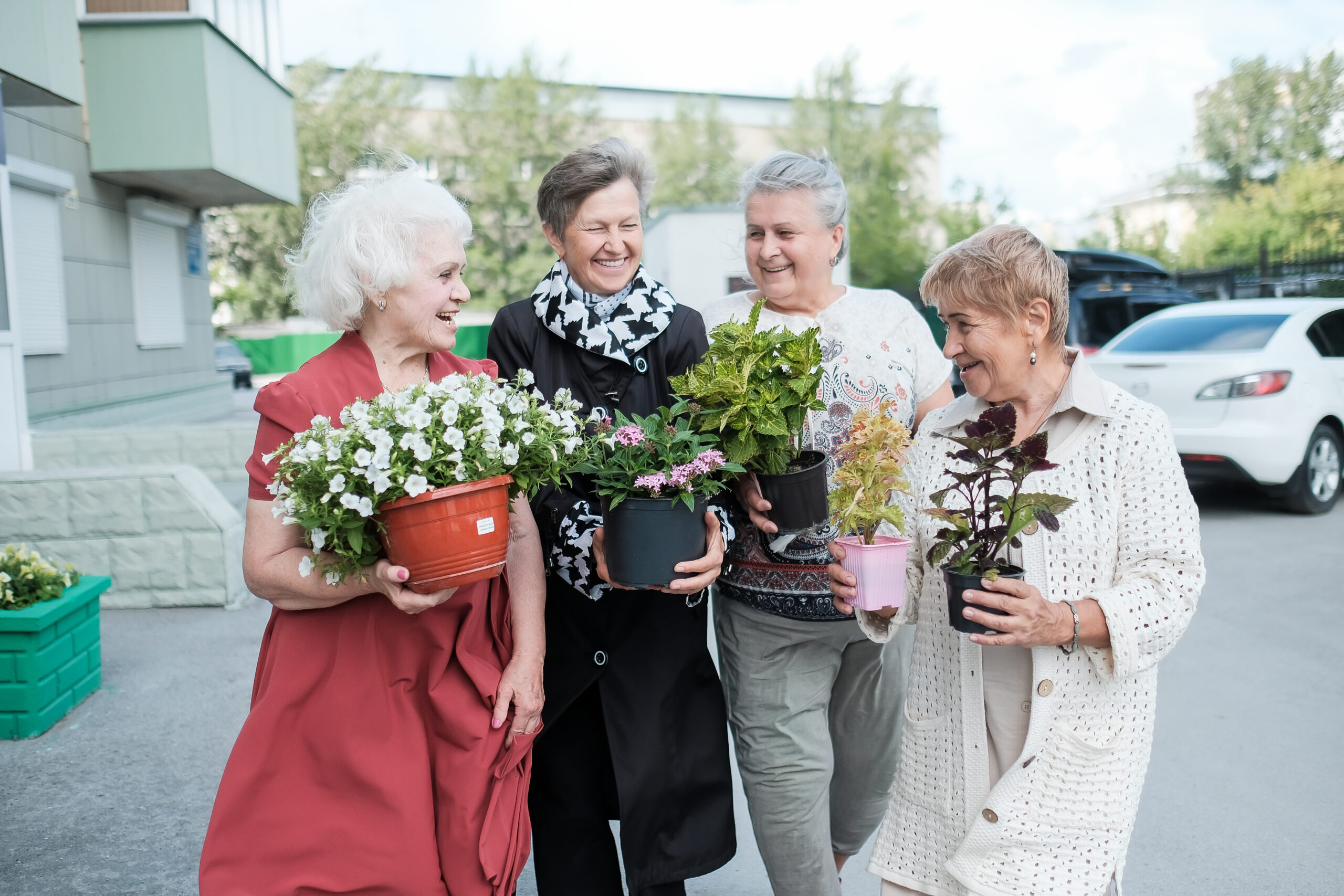 На «интерьерную» «Зелёную субботу» новосибирцы принесли несколько десятков растений