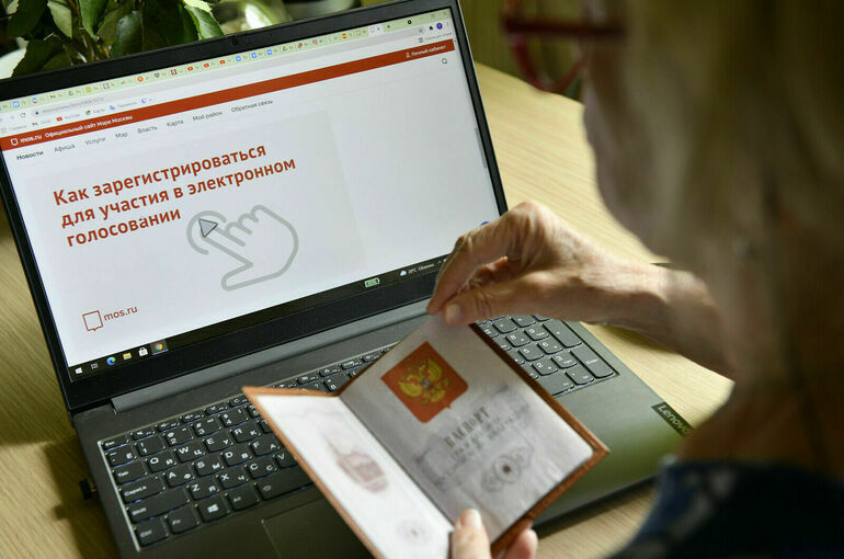 «ЗЕЛЁНЫЕ»: выборы в России должны быть более экологичными