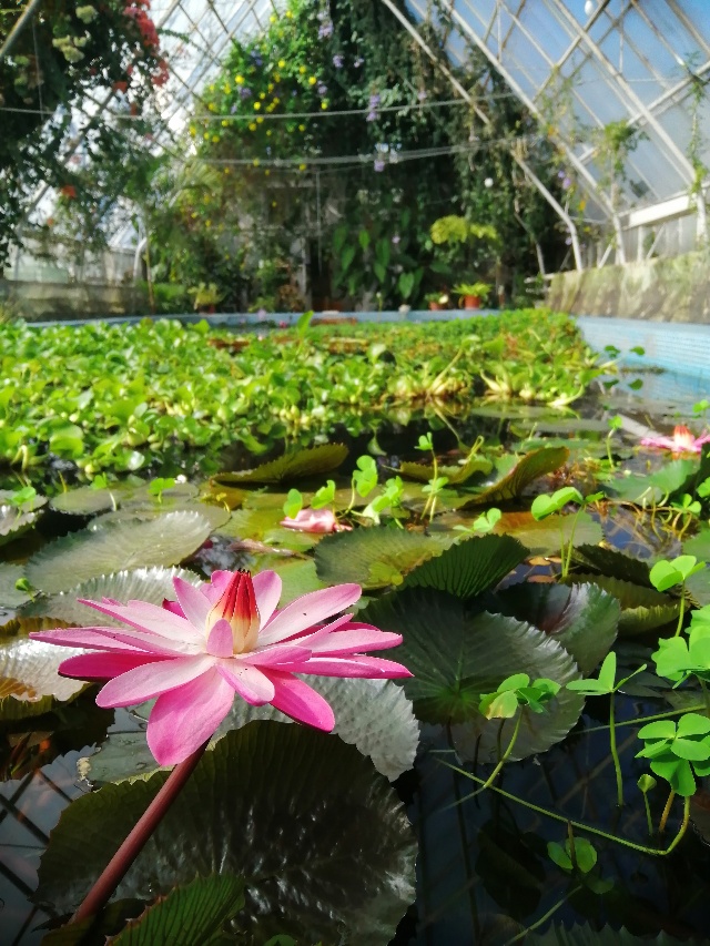 Российские «ЗЕЛЁНЫЕ»: изменение кадастровой стоимости земель ставит под угрозу существование особо охраняемых природных территорий