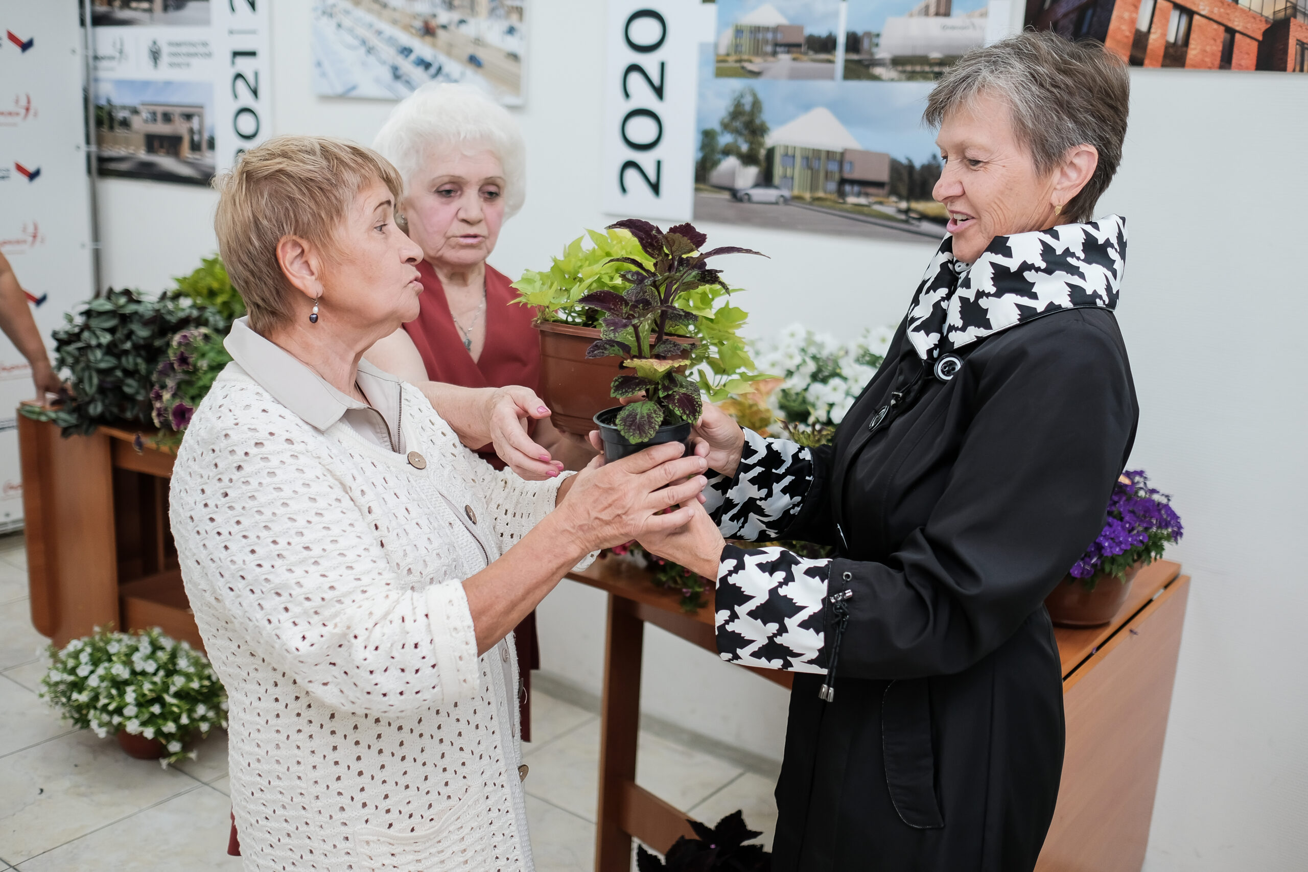 На «интерьерную» «Зелёную субботу» новосибирцы принесли несколько десятков растений На «интерьерную» «Зелёную субботу» новосибирцы принесли несколько десятков растений