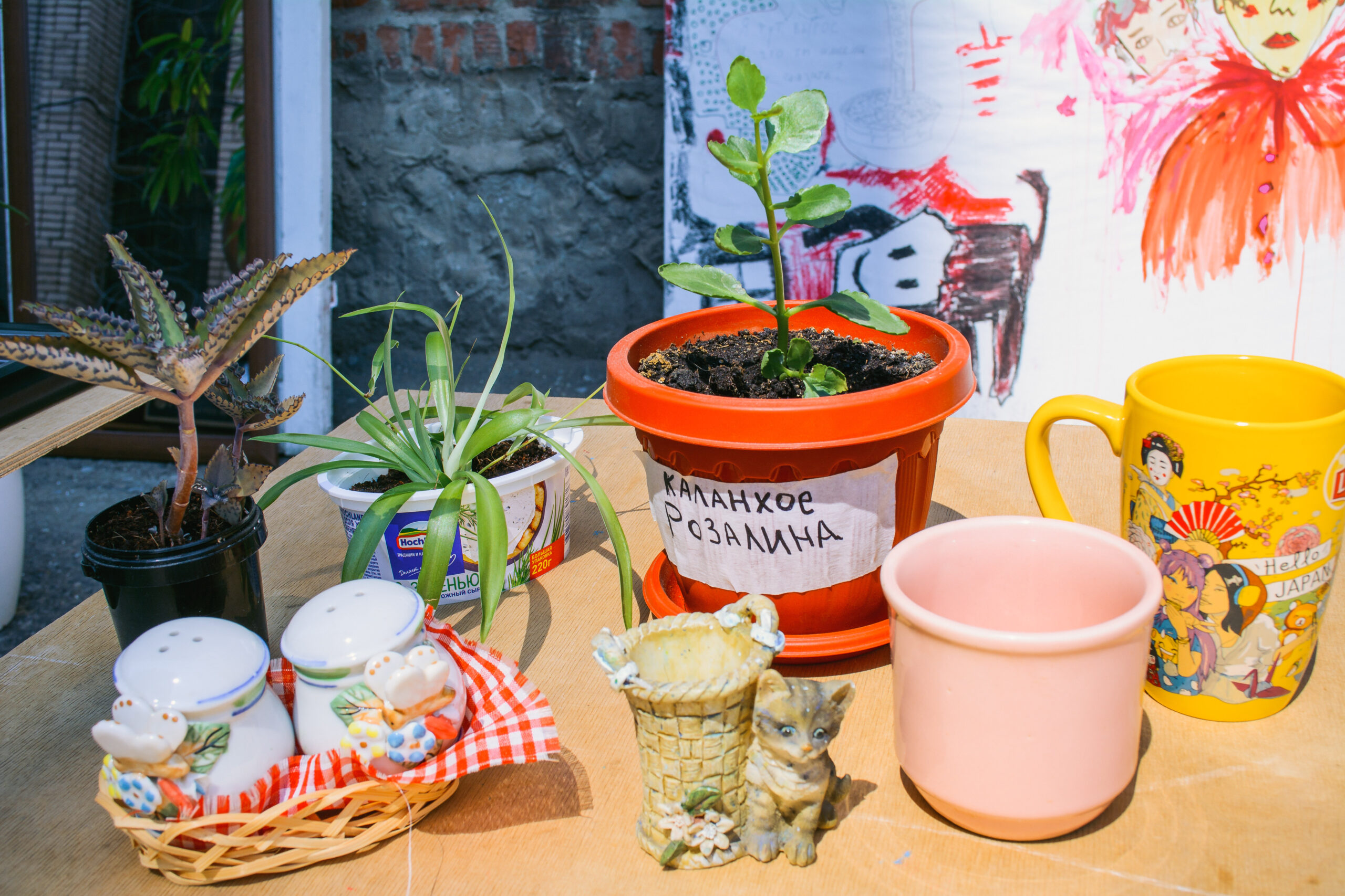 На «интерьерную» «Зелёную субботу» ростовчане принесли журнальный столик, репродукцию Пикассо ручной работы и каланхое Розалина На «интерьерную» «Зелёную субботу» ростовчане принесли журнальный столик, репродукцию Пикассо ручной работы и каланхое Розалина